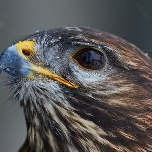 Meet your Posher, Jo